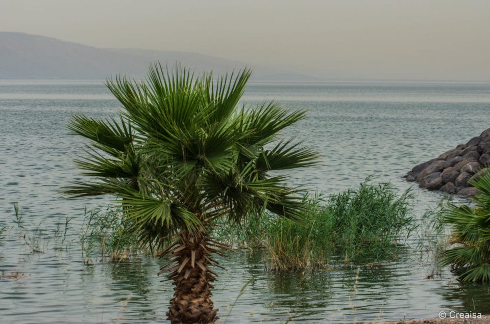 De retour en Israël…