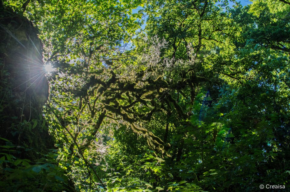 La Tine de Conflens…