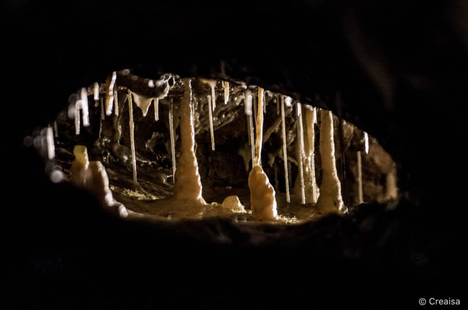 Grottes de Vallorbe…